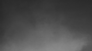 Layer-01-2-Final