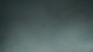 Layer-04-1-Raw-Footage